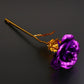 24K Gold Dipped Eternal Rose Gift with Stand